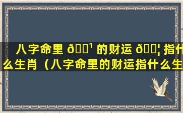 八字命里 🌹 的财运 🐦 指什么生肖（八字命里的财运指什么生肖和动物）